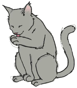 Gatinho Respiração