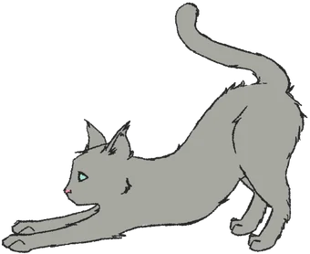 Gatinho Espreguiçando